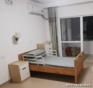 <strong>绘画、雕塑等身手</strong>